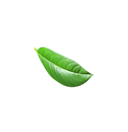 green leaf